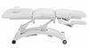 SPA SOURCE - TruForm Pro 3 Motor Facial | Exam | Injections & Lite Form Chiropractic Exam Table
