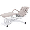 TruForm Pro | 3 Motor Physical Therapy, Massage, Exam, Injections & Chiropractic Therapy Table