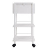 TL-800 Trolley Table with Locking Drawer 