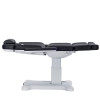 LuxMed - APERO Electric Spa Treatment Table (Facial Chair/Bed)