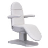 LuxMed - MODERNO 4 Motor Electric Spa Treatment Table | UL Motors | Wireless Remote | ALL WHITE