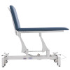 OssePro 20 | Two Section Hi-Lo + Therapy &  Rehab Table |  ♿ ADA Compliant
