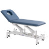 OssePro 20 | Two Section Hi-Lo + Therapy &  Rehab Table |  ♿ ADA Compliant