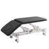 OssePro 20 | Two Section Hi-Lo + Therapy &  Rehab Table |  ♿ ADA Compliant