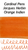 Jacques Herbin Orange Indien Ink (30ml Bottle) - Ink Swab