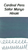 Sailor Manyo Hinoki Ink (50ml Bottle) - Ink Swab