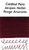 Jacques Herbin Rouge Amarante Ink (30ml Bottle) - Ink Swab