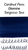 Diamine Sargasso Sea Ink (80ml Bottle) - Ink Swab