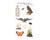 The Well-Appointed Desk Apothecary Arcanum Sticker Sheet