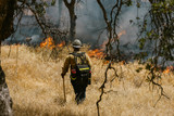 Bushfire Chainsaw PPE for Arborists: How to Choose the Right Protection (Australia)