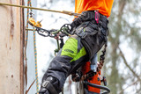 Top 5 Chainsaw Pants for Climbing in Australia (2025)