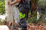 The Real Cost of Cheap Chainsaw PPE in Australia 