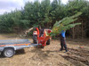 Remet RT-630 PTO Disc Chipper in operation with tractor and attached trailer