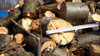 Remet RP150 Pro Series branch logger firewood chunks