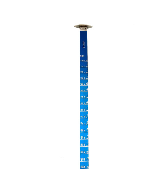 Logrite 36" Doyle Log Scale with Handle