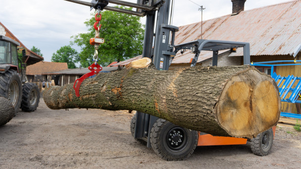 Single Log Tongs lifting a large log