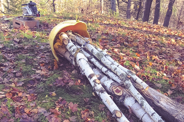 Portable Winch Skidding Cone