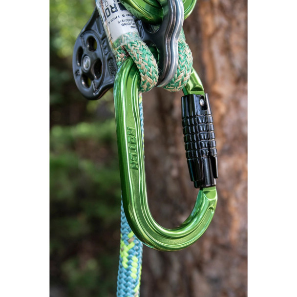 Notch Absolute Oval Aluminum Carabiner