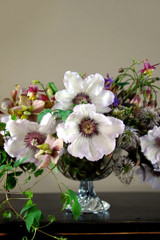 Spring Sensation