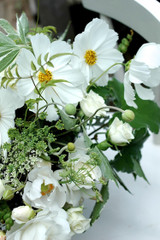 Dainty Delight