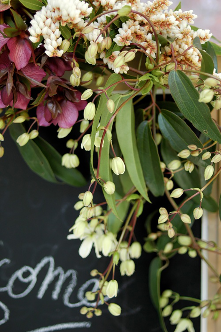 Wild Whimsy