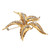Spitzer & Furman Diamond Gold Textured Star Brooch