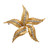 Spitzer & Furman Diamond Gold Textured Star Brooch