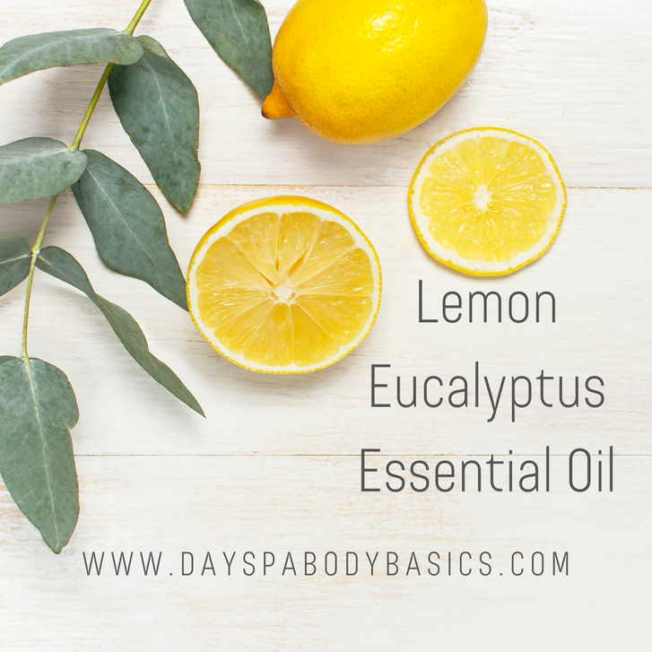 Lemon Eucalyptus Essential Oil Ingredient Highlight DAYSPA Body
