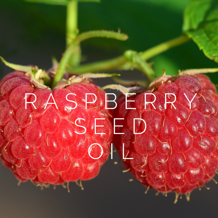 Raspberry Seed Oil Ingredient Highlight DAYSPA Body Basics Store