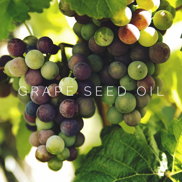 Grape Seed Oil Ingredient Highlight DAYSPA Body Basics Store