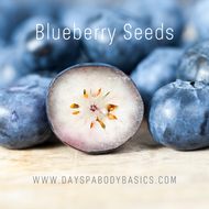 Blueberry Seeds- Ingredient Highlight