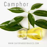 Camphor Essential Oil- Ingredient Highlight