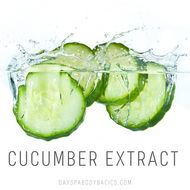 Cucumber Extract- Ingredient Highlight