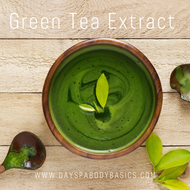 Green Tea Extract- Ingredient Highlight