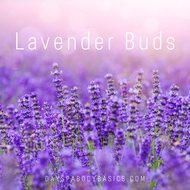 Lavender Buds- Ingredient Highlight