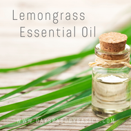 Lemongrass Essential Oil- Ingredient Highlight