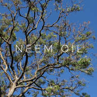 Neem Oil - Ingredient Highlight