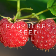 Raspberry Seed Oil - Ingredient Highlight