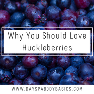 Why You Should Love Huckleberries