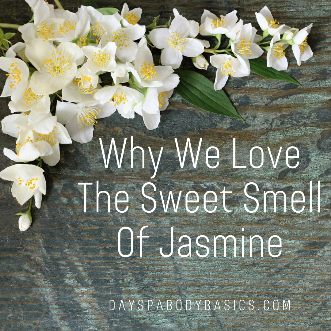 Why We Love The Sweet Smell Of Jasmine DAYSPA Body Basics Store