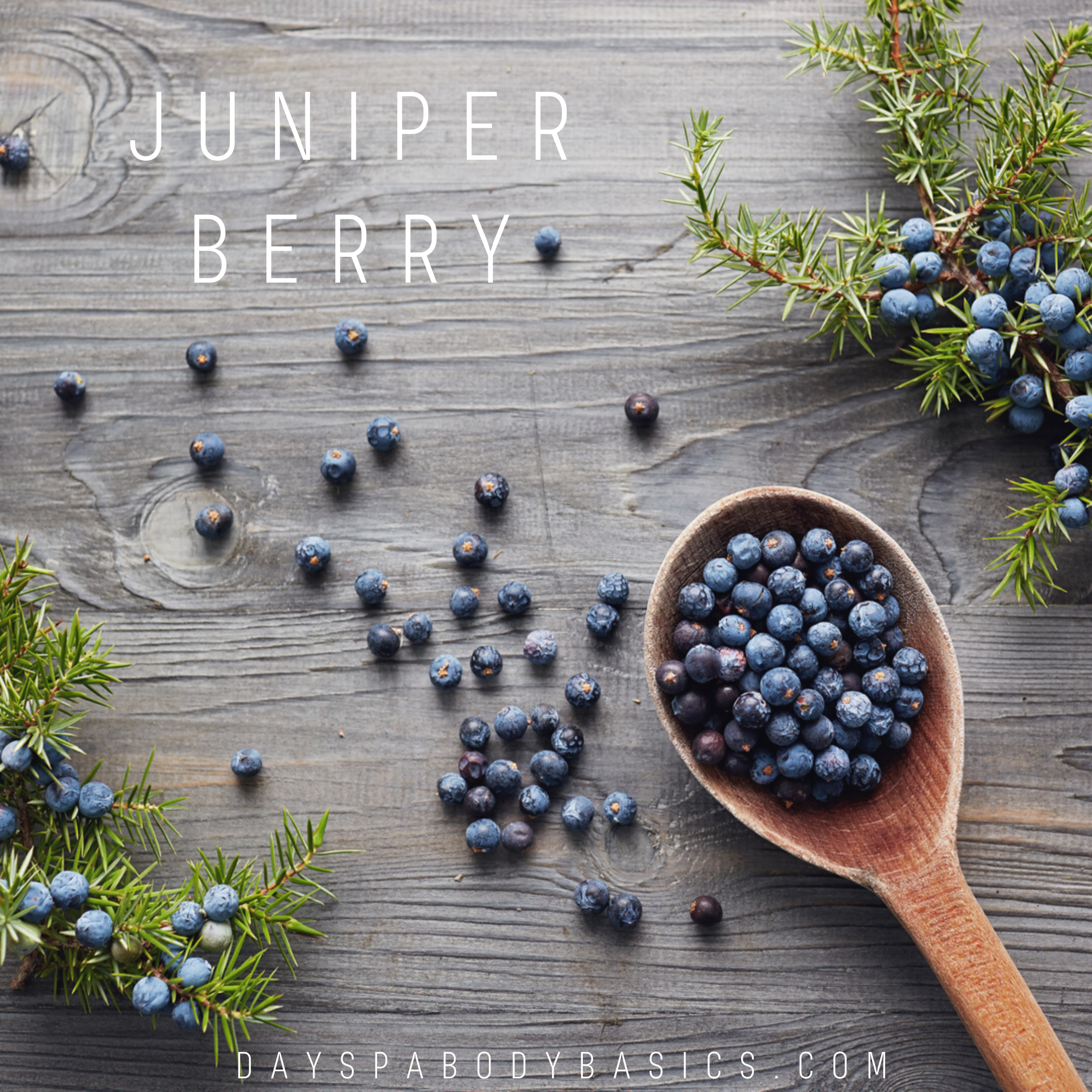 Ground Juniper Berries