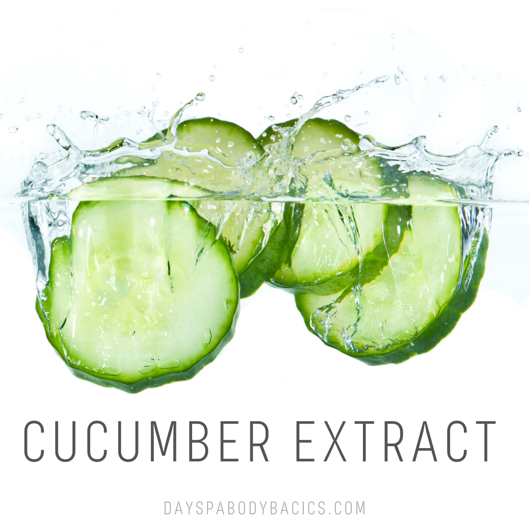 Cucumber Extract Ingredient Highlight DAYSPA Body Basics Store