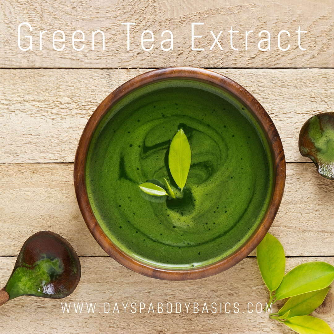 Green Tea Extract- Ingredient Highlight - DAYSPA Body Basics Store
