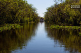 Everglades Family Adventure