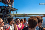 Everglades Airboat Tours - The Best Way to Explore The Everglades’ Wildlife