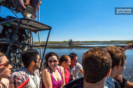 Everglades Airboat Tours - The Best Way to Explore The Everglades’ Wildlife