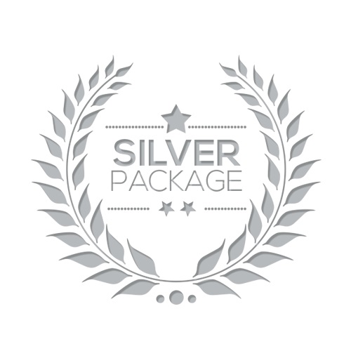 silverpkg7.jpg