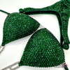 Emerald Green Figure Suit Emerald Green Figure Suit