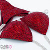 Ruby Red Competition Bikini