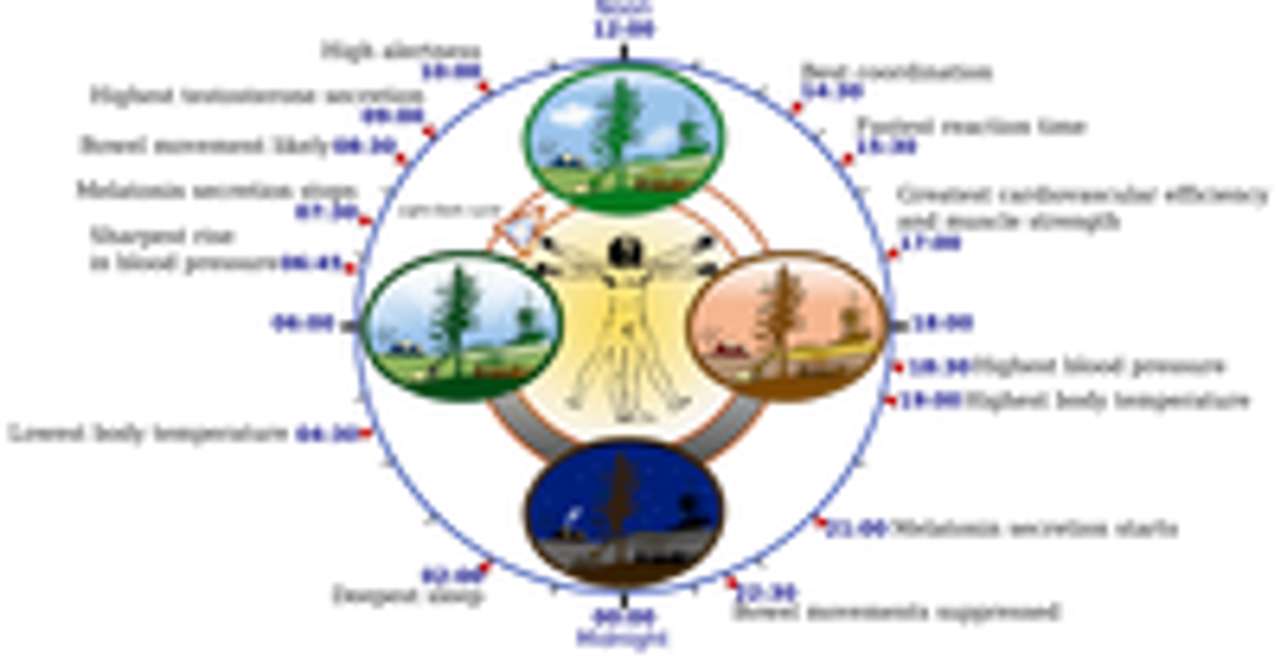 Energy Drinks and Diabetes – A Double Whammy